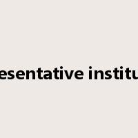 representative institution是什么意思