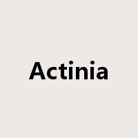 Actinia是什么意思