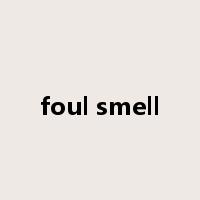 foul smell是什么意思