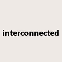 interconnected是什么意思