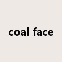 coal face是什么意思