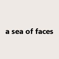 a sea of faces是什么意思