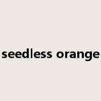 seedless orange是什么意思