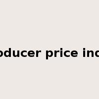 producer price index是什么意思