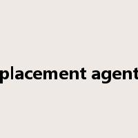 placement agent是什么意思