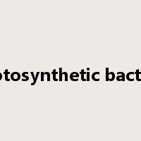 photosynthetic bacteria是什么意思