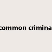common criminal是什么意思