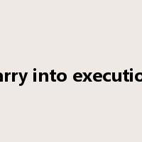 carry into execution是什么意思
