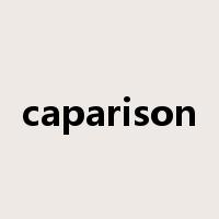 caparison是什么意思
