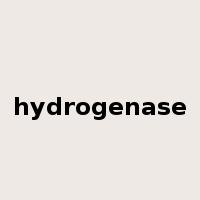 hydrogenase是什么意思