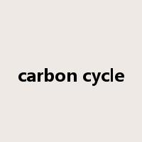 carbon cycle是什么意思
