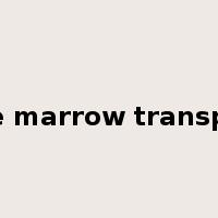 bone marrow transplant是什么意思