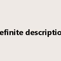 definite description是什么意思