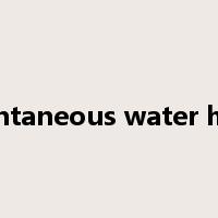 instantaneous water heater是什么意思