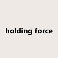 holding force是什么意思