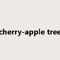 cherry-apple tree是什么意思