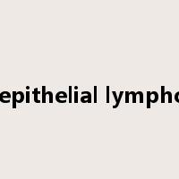 intraepithelial lymphocyte是什么意思