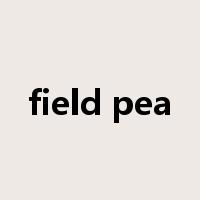 field pea是什么意思
