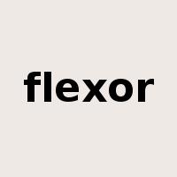 flexor是什么意思
