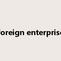 foreign enterprise是什么意思
