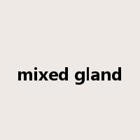 mixed gland是什么意思