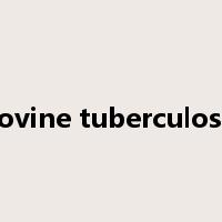 bovine tuberculosis是什么意思