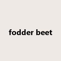 fodder beet是什么意思