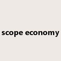 scope economy是什么意思