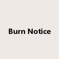 Burn Notice是什么意思