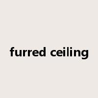 furred ceiling是什么意思
