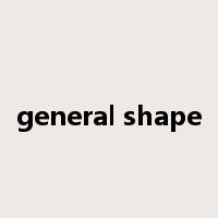 general shape是什么意思