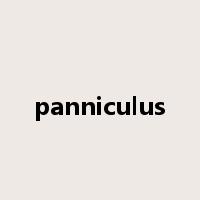 panniculus是什么意思