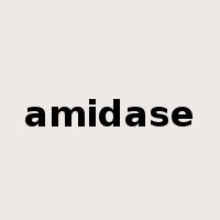 amidase是什么意思