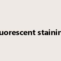 fluorescent staining是什么意思