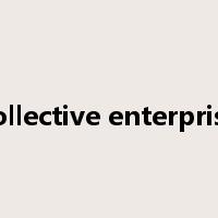 collective enterprise是什么意思