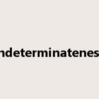 indeterminateness是什么意思