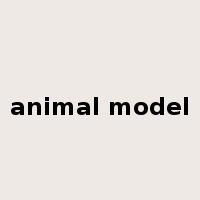 animal model是什么意思