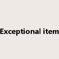 Exceptional item是什么意思