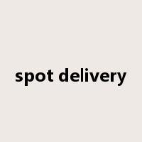 spot delivery是什么意思