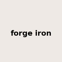 forge iron是什么意思