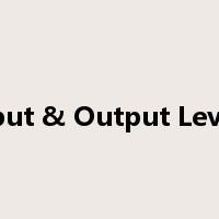 Input & Output Levels是什么意思
