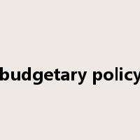 budgetary policy是什么意思