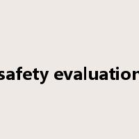 safety evaluation是什么意思