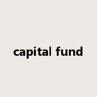 capital fund是什么意思