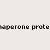 chaperone protein是什么意思