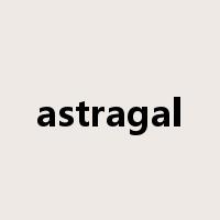 astragal是什么意思
