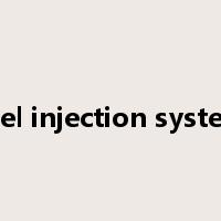 fuel injection system是什么意思