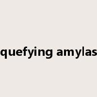 liquefying amylase是什么意思