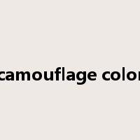 camouflage color是什么意思