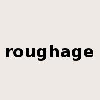 roughage是什么意思